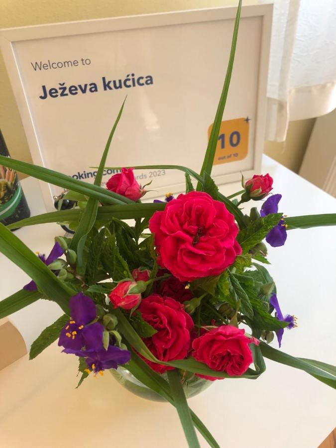 Hedgehog'S Home - Jezeva Kucica Free Parking 塞拉耶佛 外观 照片