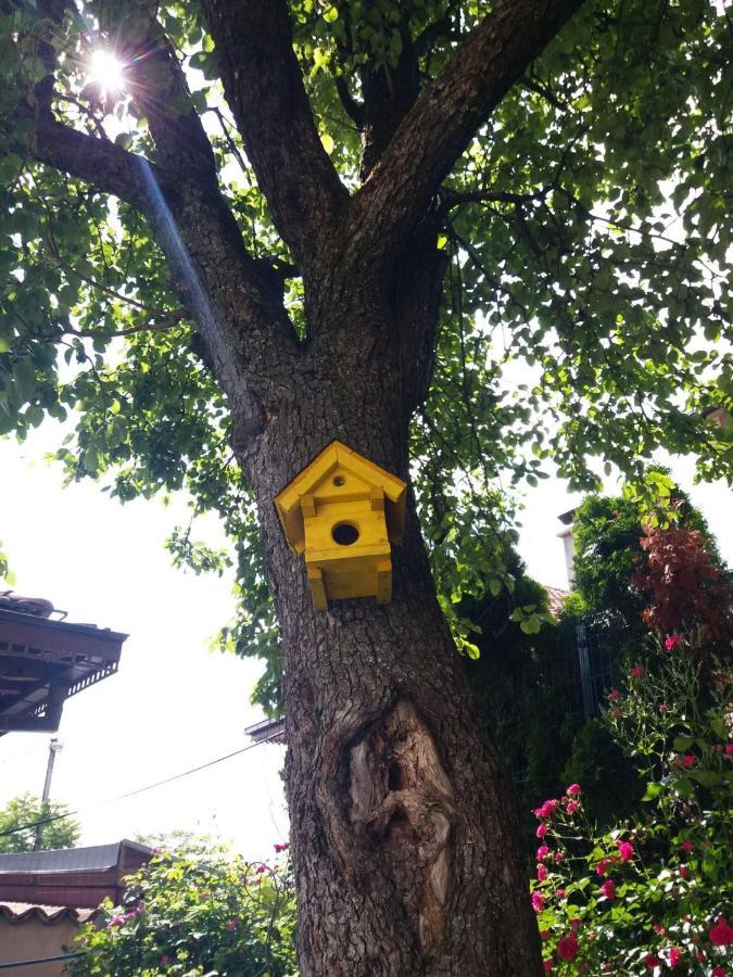 Hedgehog'S Home - Jezeva Kucica Free Parking 塞拉耶佛 外观 照片