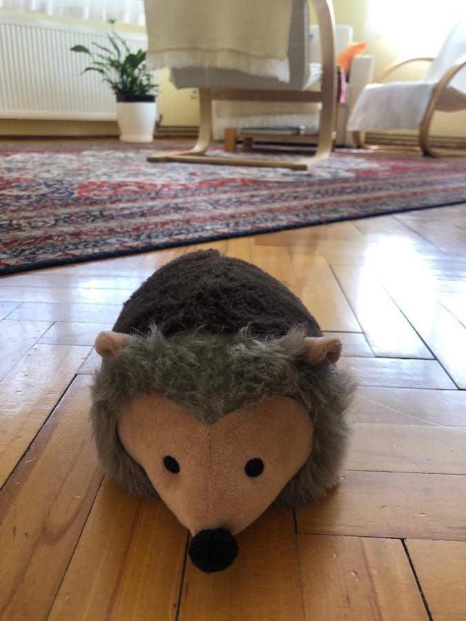 Hedgehog'S Home - Jezeva Kucica Free Parking 塞拉耶佛 外观 照片